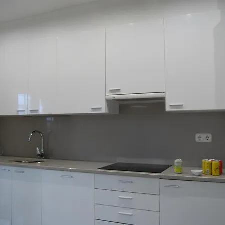 Apartment Con Terraza *