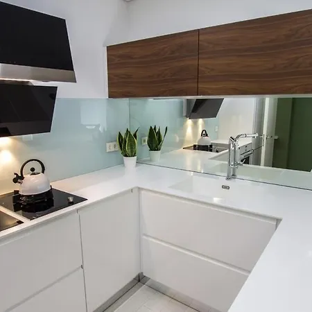 Apartamento Con Terraza * سان سيباستيان